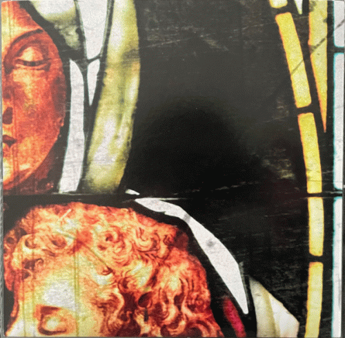 Defeater (USA) : Still & True